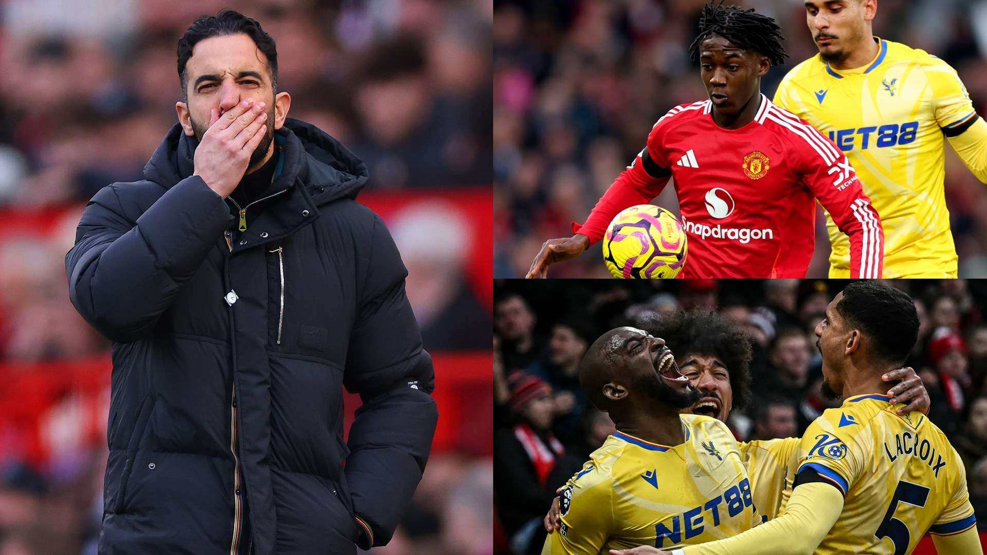 通过这种举 通过这种举